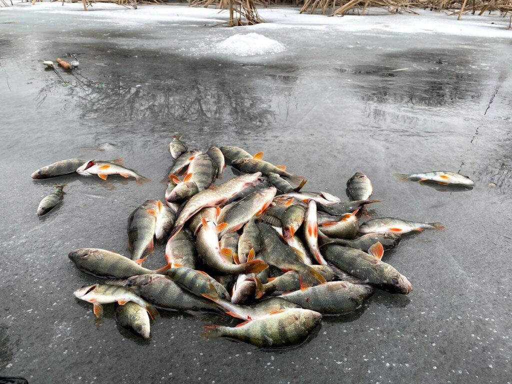 Галерея